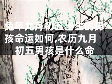 兔年九月初五出生的男孩命运如何,农历九月初五男孩是什么命