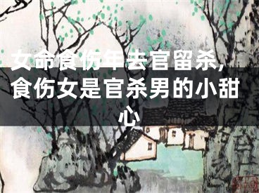女命食伤年去官留杀,食伤女是官杀男的小甜心