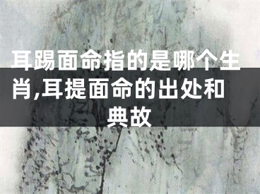 耳踢面命指的是哪个生肖,耳提面命的出处和典故