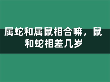 属蛇和属鼠相合嘛，鼠和蛇相差几岁