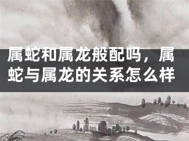 属蛇和属龙般配吗，属蛇与属龙的关系怎么样