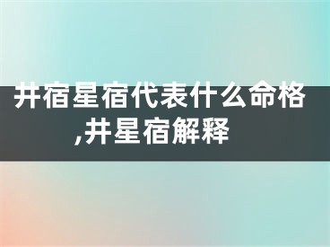 井宿星宿代表什么命格,井星宿解释
