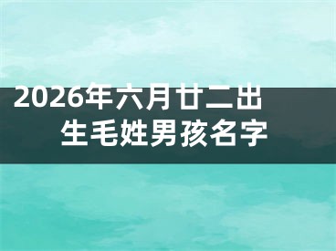 2026年六月廿二出生毛姓男孩名字