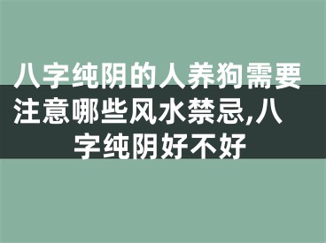 八字纯阴的人养狗需要注意哪些风水禁忌,八字纯阴好不好