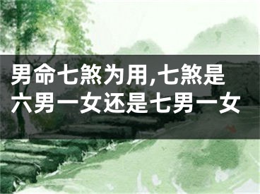 男命七煞为用,七煞是六男一女还是七男一女