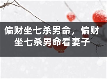 偏财坐七杀男命，偏财坐七杀男命看妻子