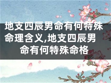 地支四辰男命有何特殊命理含义,地支四辰男命有何特殊命格