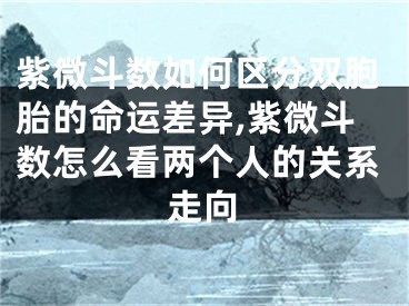 紫微斗数如何区分双胞胎的命运差异,紫微斗数怎么看两个人的关系走向