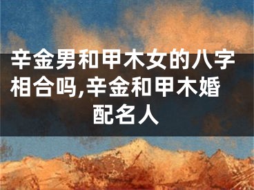 辛金男和甲木女的八字相合吗,辛金和甲木婚配名人
