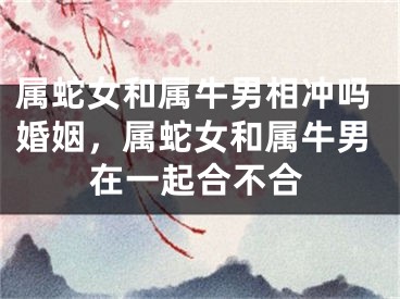 属蛇女和属牛男相冲吗婚姻，属蛇女和属牛男在一起合不合