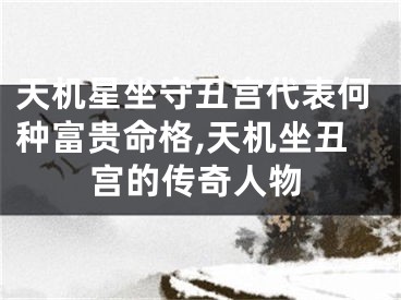 天机星坐守丑宫代表何种富贵命格,天机坐丑宫的传奇人物