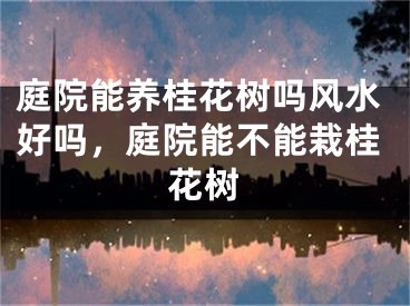 庭院能养桂花树吗风水好吗，庭院能不能栽桂花树