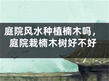 庭院风水种植楠木吗，庭院栽楠木树好不好