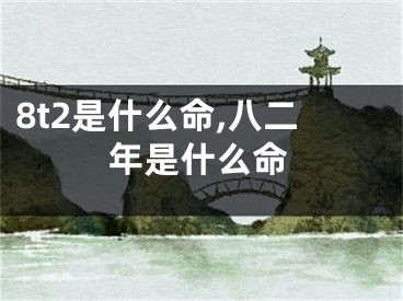 8t2是什么命,八二年是什么命