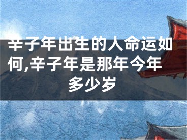 辛子年出生的人命运如何,辛子年是那年今年多少岁