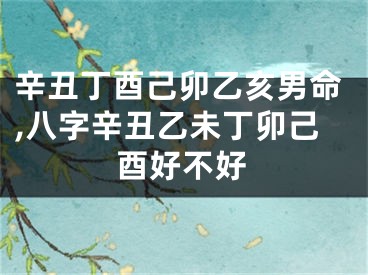 辛丑丁酉己卯乙亥男命,八字辛丑乙未丁卯己酉好不好
