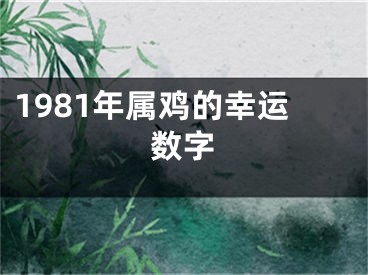 1981年属鸡的幸运数字