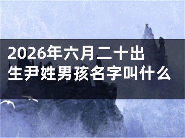 2026年六月二十出生尹姓男孩名字叫什么