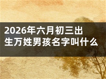 2026年六月初三出生万姓男孩名字叫什么