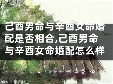 己酉男命与辛酉女命婚配是否相合,己酉男命与辛酉女命婚配怎么样