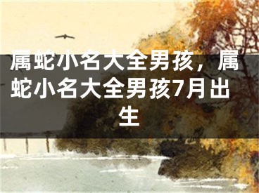 属蛇小名大全男孩，属蛇小名大全男孩7月出生