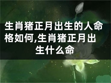 生肖猪正月出生的人命格如何,生肖猪正月出生什么命