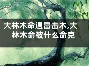 大林木命遇雷击木,大林木命被什么命克