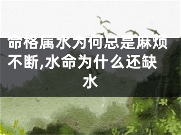 命格属水为何总是麻烦不断,水命为什么还缺水