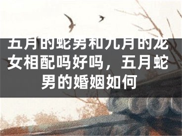 五月的蛇男和九月的龙女相配吗好吗，五月蛇男的婚姻如何
