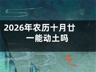 2026年农历十月廿一能动土吗