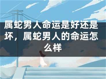 属蛇男人命运是好还是坏，属蛇男人的命运怎么样