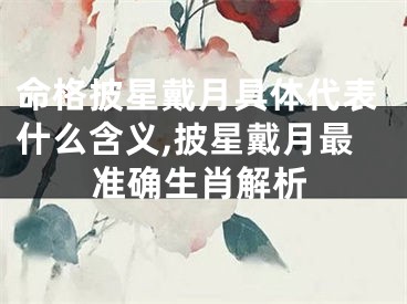 命格披星戴月具体代表什么含义,披星戴月最准确生肖解析
