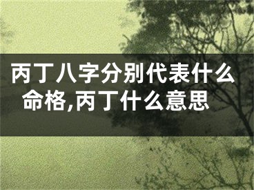 丙丁八字分别代表什么命格,丙丁什么意思