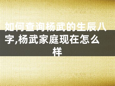如何查询杨武的生辰八字,杨武家庭现在怎么样