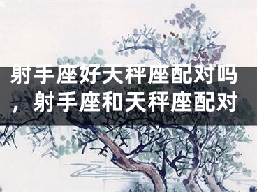 射手座好天秤座配对吗，射手座和天秤座配对