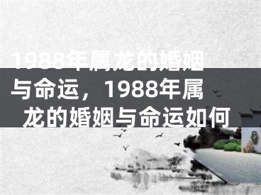 1988年属龙的婚姻与命运,1988年属龙的婚姻与命运如何