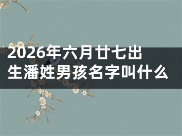 2026年六月廿七出生潘姓男孩名字叫什么