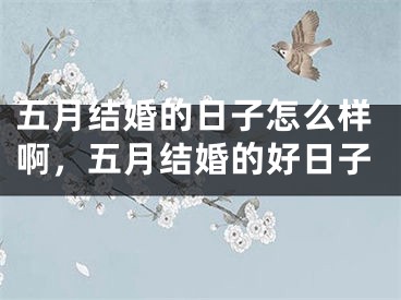 五月结婚的日子怎么样啊，五月结婚的好日子