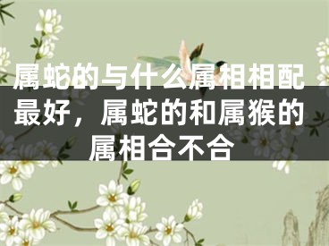 属蛇的与什么属相相配最好，属蛇的和属猴的属相合不合