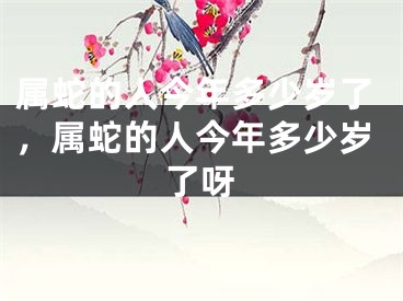属蛇的人今年多少岁了，属蛇的人今年多少岁了呀