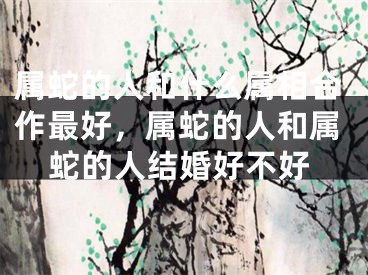 属蛇的人和什么属相合作最好，属蛇的人和属蛇的人结婚好不好