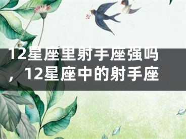 12星座里射手座强吗，12星座中的射手座