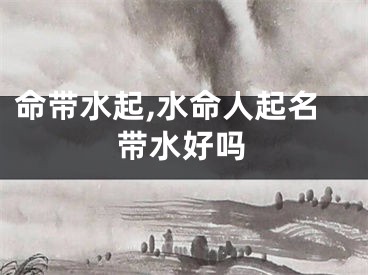 命带水起,水命人起名带水好吗
