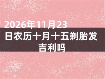 2026年11月23日农历十月十五剃胎发吉利吗