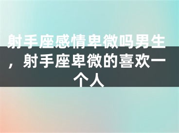 射手座感情卑微吗男生，射手座卑微的喜欢一个人