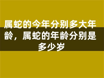 属蛇的今年分别多大年龄,属蛇的年龄分别是多少岁