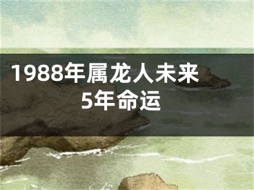 1988年属龙人未来5年命运