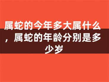 属蛇的今年多大属什么,属蛇的年龄分别是多少岁