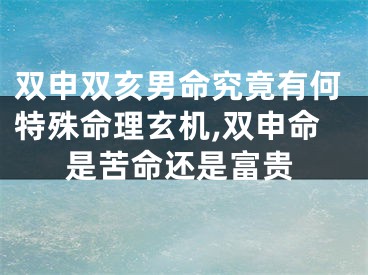 双申双亥男命究竟有何特殊命理玄机,双申命是苦命还是富贵