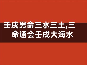壬戌男命三水三土,三命通会壬戌大海水